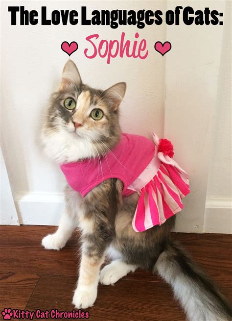 sophie kitty|Sophie Kitty .